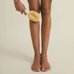 Brosse Massage corps