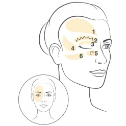 Capsules EYE Programme Yeux