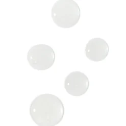Ectoin Repair Serum