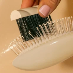 La brosse de nettoyage