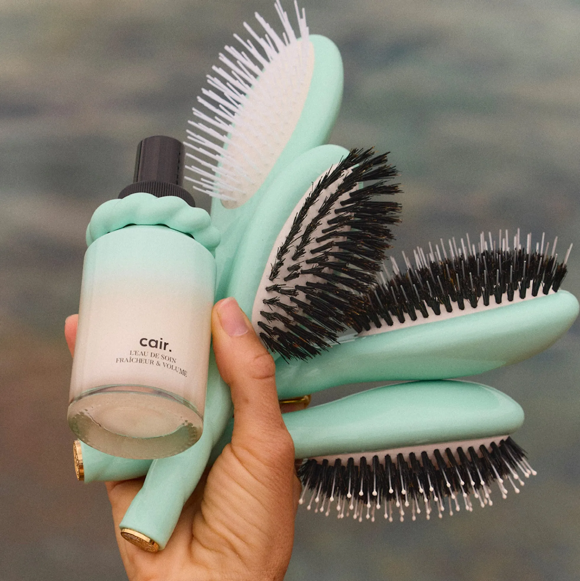 La Brosse N°02 L’indispensable Soin et Démêlage