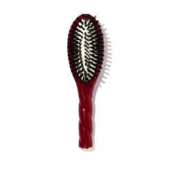 La Petite Brosse n°01 l'Universelle