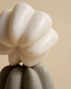 Le Shampoing Solide Rééquilibrant