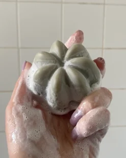 Le Shampoing Solide Rééquilibrant