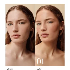 Matte Bronzing Brick Poudre Bronzante