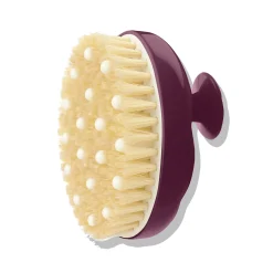 N°02 Brosse Corps x Talm Peaux Normales