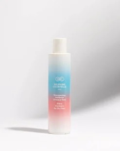 Shampoing Brillance Cheveux Secs