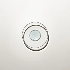 Supersérum Fermeté