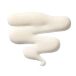 The Leave-In Hair Treatment Le Soin Capillaire